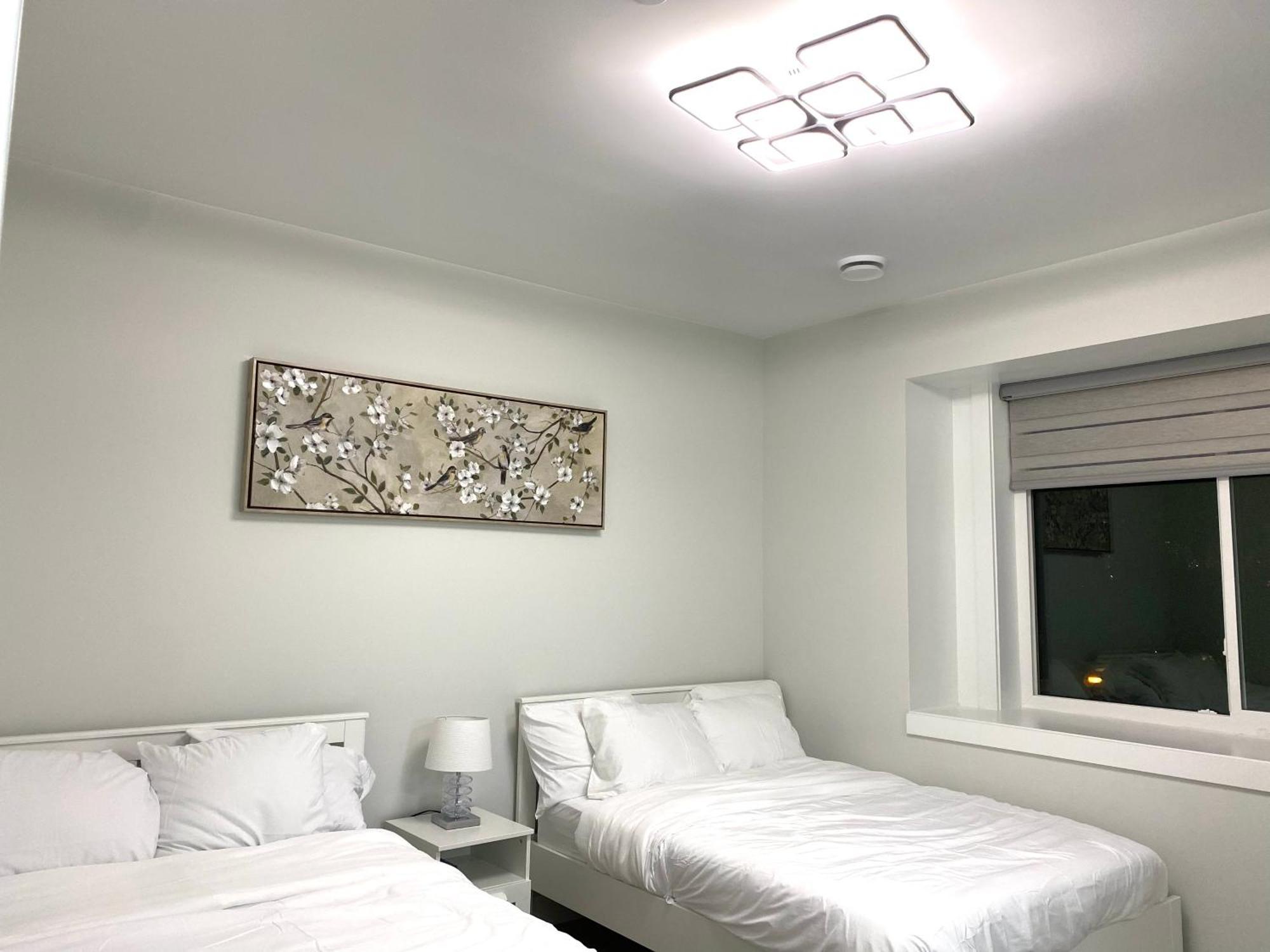 Modern And New House Near Pne With Big Garden And Free Parking Leilighet Vancouver Eksteriør bilde